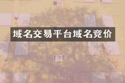 域名交易平台域名竞价