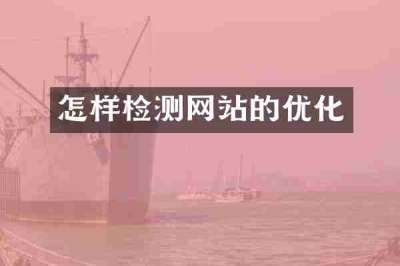怎样检测网站的优化