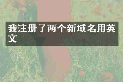 我注册了两个新域名用英文