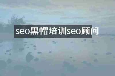seo黑帽培训seo顾问
