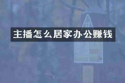 主播怎么居家办公赚钱