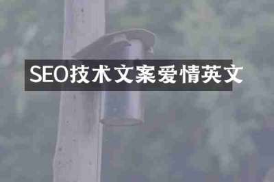 SEO技术文案爱情英文