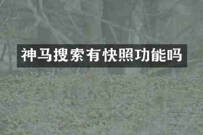 神马搜索有快照功能吗