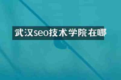 武汉seo技术学院在哪