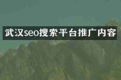 武汉seo搜索平台推广内容