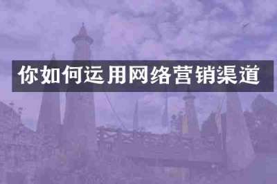 你如何运用网络营销渠道