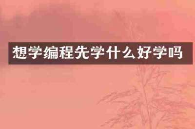 想学编程先学什么好学吗