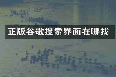 正版谷歌搜索界面在哪找