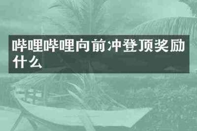 哔哩哔哩向前冲登顶奖励什么