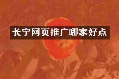 长宁网页推广哪家好点