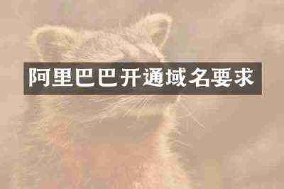 阿里巴巴开通域名要求