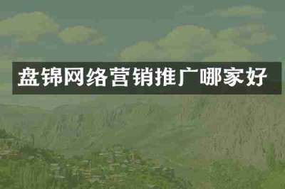 盘锦网络营销推广哪家好