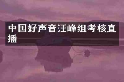 中国好声音汪峰组考核直播