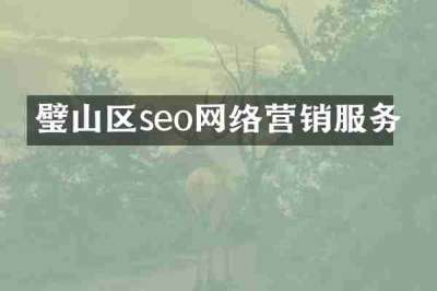 璧山区seo网络营销服务