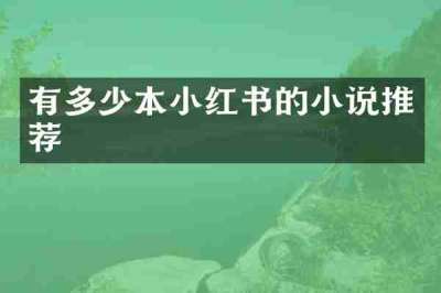 有多少本小红书的小说推荐