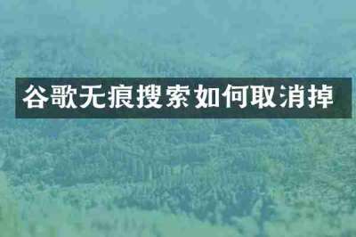 谷歌无痕搜索如何取消掉