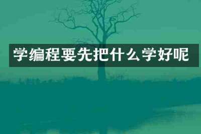 学编程要先把什么学好呢