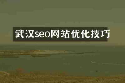 武汉seo网站优化技巧