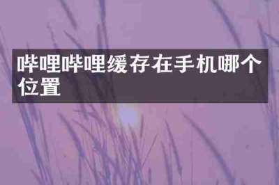 哔哩哔哩缓存在手机哪个位置
