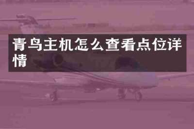 青鸟主机怎么查看点位详情