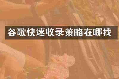 谷歌快速收录策略在哪找