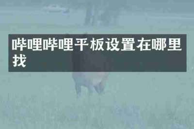 哔哩哔哩平板设置在哪里找
