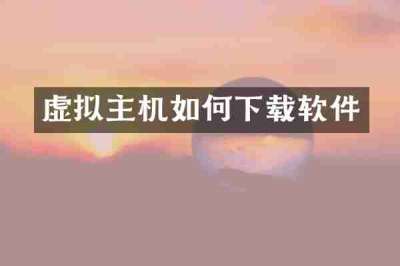 虚拟主机如何下载软件