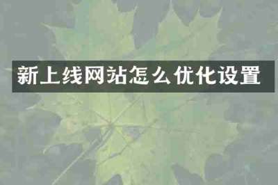 新上线网站怎么优化设置