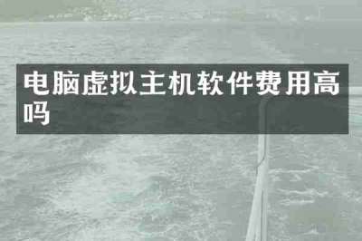 电脑虚拟主机软件费用高吗