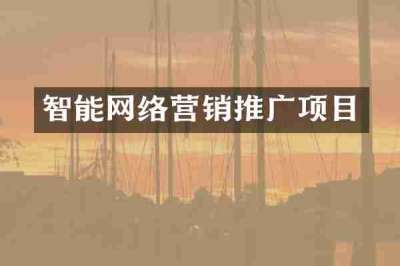 智能网络营销推广项目