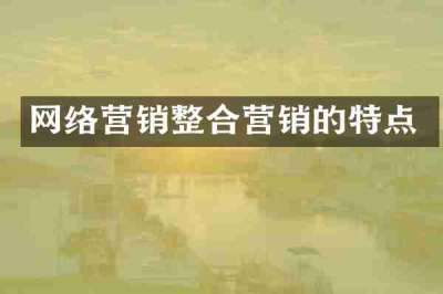 网络营销整合营销的特点