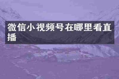 微信小视频号在哪里看直播