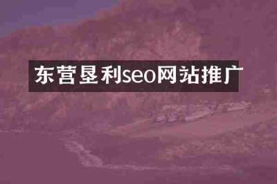 东营垦利seo网站推广