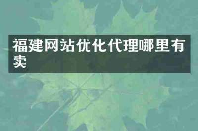 福建网站优化代理哪里有卖