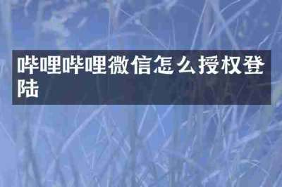 哔哩哔哩微信怎么授权登陆