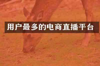 用户最多的电商直播平台