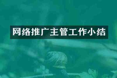 网络推广主管工作小结