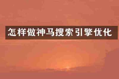 怎样做神马搜索引擎优化