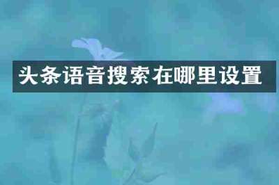 头条语音搜索在哪里设置