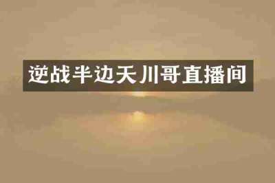 逆战半边天川哥直播间