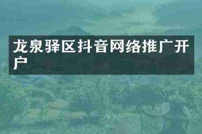 龙泉驿区抖音网络推广开户