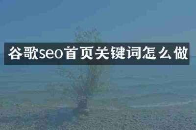 谷歌seo首页关键词怎么做
