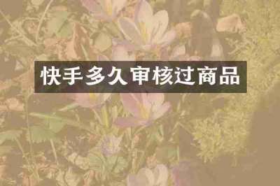 快手多久审核过商品