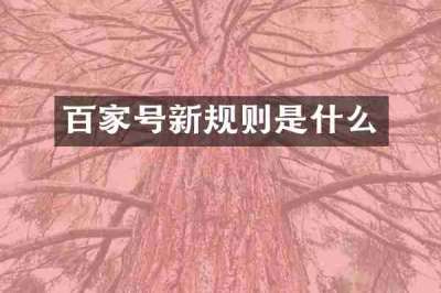 百家号新规则是什么