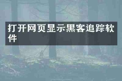 打开网页显示黑客追踪软件