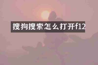 搜狗搜索怎么打开f12