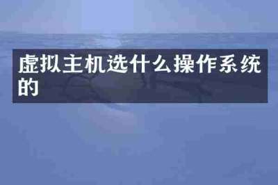 虚拟主机选什么操作系统的