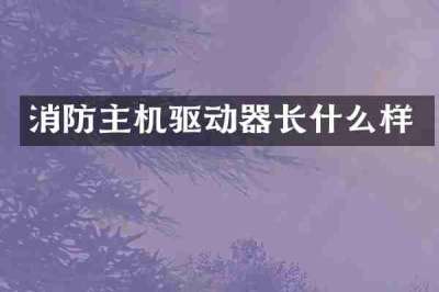 消防主机驱动器长什么样