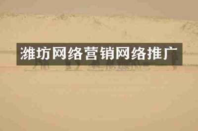 潍坊网络营销网络推广