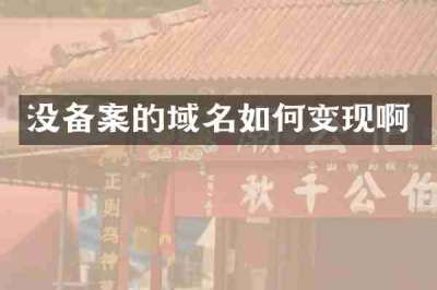 没备案的域名如何变现啊